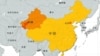 中国高官指有新疆共产党员支持恐怖活动
