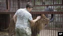 Natalia Popova, de 50 años, acaricia a un león en su refugio de animales en la región de Kyiv, Ucrania, el jueves 4 de agosto de 2022.