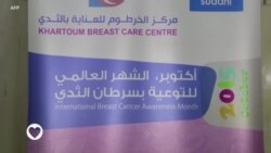 Saúde em Foco - Outubro Rosa: Renovar a luta contra o cancro da mama