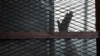 Un accusé en cage dans une salle d'audience de la prison de la Torah, dans le sud du Caire, en Égypte, le 22 août 2015.