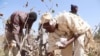 Les sanctions de la CEDEAO menacent le secteur du coton au Mali