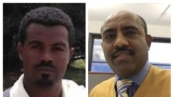 ዘተ:ፖለቲካዊ ቅልውላው ኢትዮጵያን መፍትሒኦምንን (2ይ ክፋል)