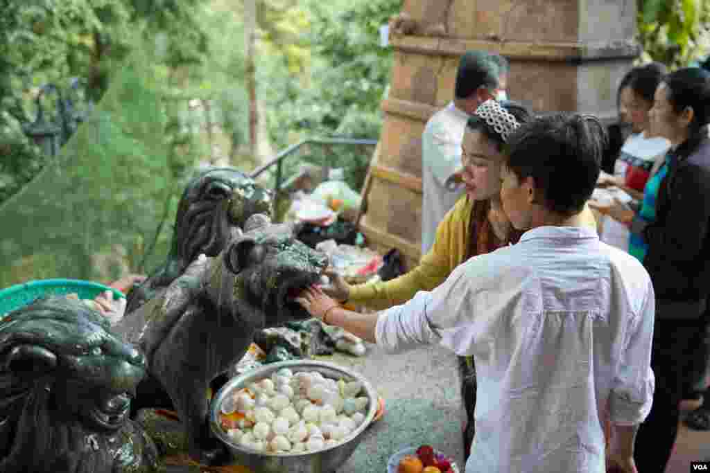 នារីម្នាក់បានយកពងទានិងសាច់ជ្រូកបីជាន់មកដាក់មាត់ខ្លាដើម្បីរំដោះគ្រោះ និងសុំសេចក្តីសុខនៅវិហារព្រះចៅលើរមណីយដ្ឋានវត្តភ្នំ អំឡុងថ្ងៃបុណ្យចូលឆ្នាំចិន វៀតណាម កាលពីព្រឹកថ្ងៃទី០៤ ខែកុម្ភៈ ឆ្នាំ២០១៩។(ទុំ ម្លិះ/VOA)
