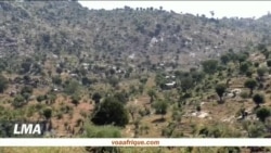 Boko Haram, violence… et mariages forcés des filles