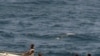 Forças moçambicanas alerta no combate à pirataria marítima