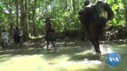 Começam as deportações ao abrigo do acordo Panamá-EUA