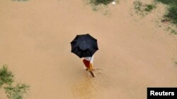 A man uses an umbrella to protect himself from rain as he walks through the flooded banks of river Ganga in the northern Indian city of Allahabad, Aug. 4, 2014. 