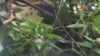 16x9 Image