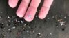 New Zealand Scientists Investigate Microplastics' Impact on Climate Change 