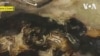 Du café et du cacao sur des toiles ivoiriennes