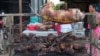 Grilled dog meat are on display at a food kiosk along a street in Phnom Penh. 