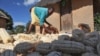 FILE - The U.N. Food and Agriculture Organization (FAO) says chronic hunger remains highest in sub-Saharan Africa, where one in four people are malnourished. 