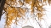 16x9 Image
