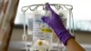 Study: Gut Bacteria May Improve Cancer Drugs' Effectiveness