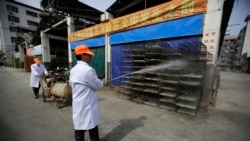 中國發現首例禽流感毒株H3N8 稱目前傳染風險較低