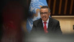 WHO suspends hydroxychloroquine testing over safety concerns