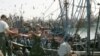 Les pêcheurs travaillent dans le port de Laayoune, au Sahara occidental, le plus grand port de sardines au monde, le 7 novembre 2005.