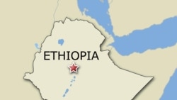 ኣብ ዝተፈላለዩ ክልላት ተዛረብቲ ትግርኛ ይእሰሩ ከምዘለው ነበርቲ ገሊፆም