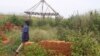 Un garçon passe près des ruines de la maison du chef coutumier Kamwina Nsapu tué en août dernier lors des affrontements meurtriers avec les forces de sécurité à Tshimbulu, Kasaï, RDC, 11 mars 2017.