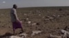 Le Kenya en danger face à la sécheresse