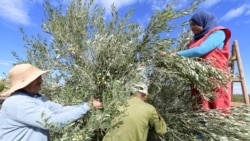 Croissance économique en Tunisie; déficit budgétaire en hausse au Nigeria