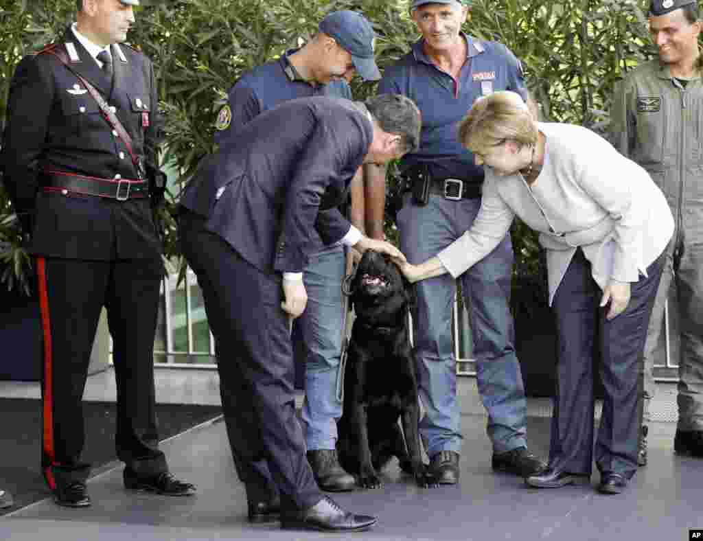អធិការបតីអាល្លឺម៉ង់ Angela Merkel (ខាង​ស្តាំ) និង​នាយករដ្ឋមន្រ្តី​អ៊ីតាលី​លោក Matteo Renzi ស្ទាប​ក្បាល​សុនខ​ Leo ដែល​បាន​ជួយ​ទាញ​កុមារា​ Giorgia Rinaldo ពី​​កម្ទេច​គំនរ​បាក់បែក​នៃ​ក្រុង Pescare del Tronto ក្រោយ​ពី​មាន​គ្រោះរញ្ជួយដី​មួយ​ ក្នុង​ក្រុង Maranello ប្រទេស​អ៊ីតាលី។&nbsp;