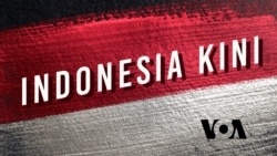 Jokowi: Porang Bisa Menjadi Makanan Pokok di Masa Depan