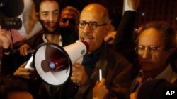 Le Prix Nobel de la Paix Mohamed ElBaradei s'adressant à la foule, au Caire