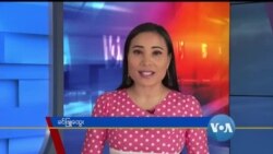 နေ့စဉ် တီဗွီသတင်းလွှာ (၀၄-၀၃-၂၀၂၀)