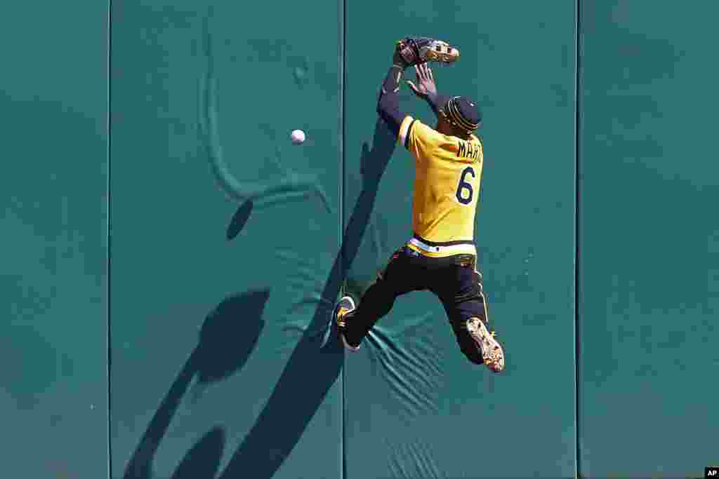 កីឡាករ Starling Marte នៃ​ក្រុម Pittsburgh Piartes លោត​ផ្ទប់​ជញ្ជាំង​ដើម្បី​ចាប់​កូនបាល់​ ដែល​ត្រូវ​បាន​វាយ​ដោយ​កីឡាករ Gregorio Petit នៃ​ក្រុម​ Los Angeles Angel នៅ​អំឡុងពេល​ប្រកួត​កីឡា វាយកូនបាល់​នៅ​ក្រុង Pittsburgh រដ្ឋ Pennyslvania សហរដ្ឋអាមេរិក​ កាល​ពី​ថ្ងៃ​ទី០៥ ខែ​មិថុនា ឆ្នាំ​២០១៦។&nbsp;