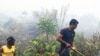 Petugas pemadam kebakaran berusaha memadamkan kebakaran hutan di Bengkalis, provinsi Riau.