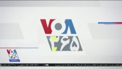 ۹ شب