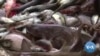 US Concerned Over China’s Illegal Fishing