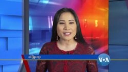 နေ့စဉ် တီဗွီသတင်းလွှာ (၀၆-၁၁-၂၀၂၀)