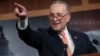 Senate Minority Leader Chuck Schumer, D-N.Y., explains to reporters how his negotiations with President Donald Trump broke down Jan. 19 as quarreling politicians in Washington eventually failed to keep the government in business.