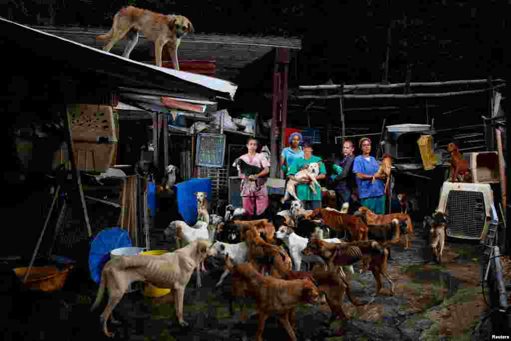 បុគ្គលិក​ផ្តល់​ជំនួយ​ថត​រូប​ជាមួយ​នឹង​សុនខ​នៅ​ផ្ទះ​ចិញ្ចឹម​សុនខ​អនាថា​​នៅ​ក្រុង​ Los Teques ប្រទេស​វេណេស៊ុយអេឡា។ ប្រជាជន​វេណេស៊ុយអេឡា​មាន​ការ​លំបាក​នៅ​​ក្នុង​ការ​ចិញ្ចឹម​សុនខ​របស់​ខ្លួន ខណៈ​ពេល​​វិបត្តិសេដ្ឋកិច្ច​ដែល​មិនធ្លាប់​មាន​ពី​មុន​មក​កំពុង​នាំ​ឲ្យ​មាន​កំណើន​សត្វ​​អនាថា​នៅ​តាម​ដង​ផ្លូវ​ សួនច្បារ និង​ជម្រក​បណ្តោះអាសន្ន​នានា។&nbsp;