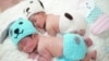 Newborn babies wearing dog costumes to celebrate the New Year of the Dog are pictured at the nursery room of Paolo Chokchai 4 Hospital in Bangkok, Thailand