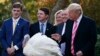 President Donald Trump pardons "Drumstick" during the National Thanksgiving Turkey Pardoning Ceremony in the Rose Garden of the White House, Nov. 21, 2017, in Washington.