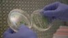 Science Says Gene Edited Food