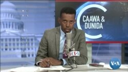 Caawa iyo Dunida