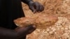 L'or contribue à un quart du budget national malien et à trois quarts des recettes d'exportation du pays.