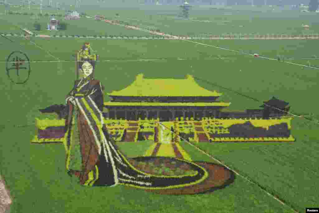 សិល្បៈ 3D នៃព្រះនាង Mi Yue នៃភាពយន្តភាគ «The Legend of Mi Yue» ត្រូវបានធ្វើឡើងចេញពីវាលស្រែមួយនៅក្រុង Shenyang ខេត្ត Liaoning ប្រទេសចិន កាលពីថ្ងៃទី១០ ខែកក្កដា ឆ្នាំ២០១៦។